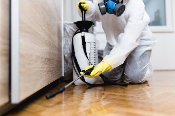 Best Pest Removal Services  in South Coatesville, PA