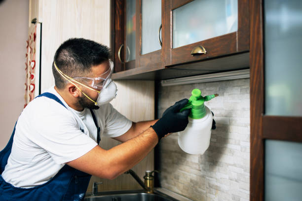 Best Exterminator Services  in South Coatesville, PA