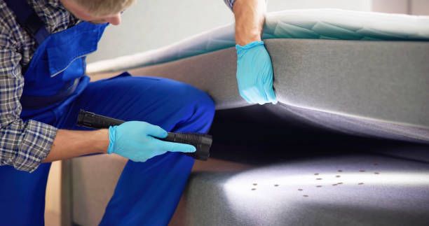 Reliable South Coatesville, PA Pest Control Solutions