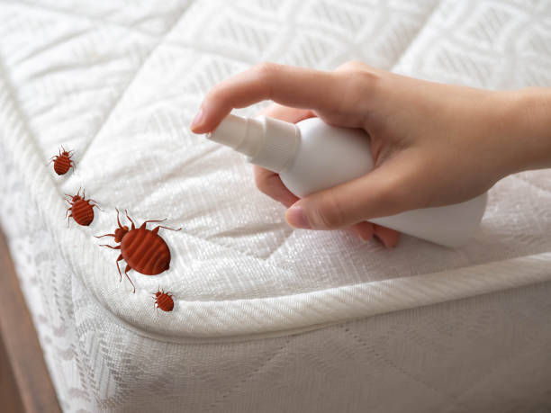 Best Pest Control Treatment  in South Coatesville, PA